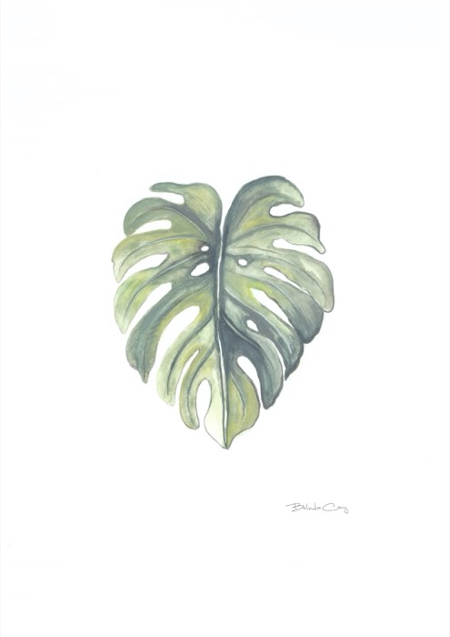 Artwork by Belinda Cary — image 64