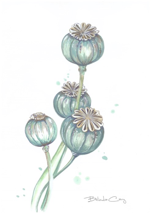 Artwork by Belinda Cary — image 58