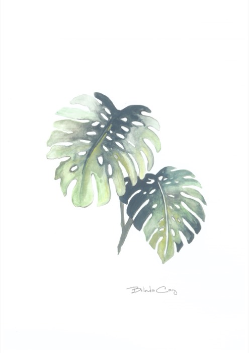Artwork by Belinda Cary — image 63